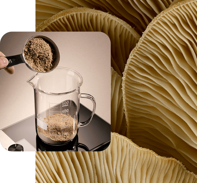Composite image featuring Maia Farms’ mycelium flour being measured into a beaker on a digital scale, overlaid on a macro view of mushroom gills—illustrating the connection between natural fungi and precision food formulation.